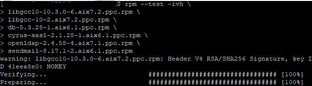 Offline installation begins by testing package dependencies.